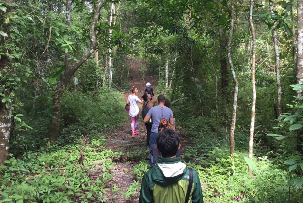 Disfruta de numerosas caminatas