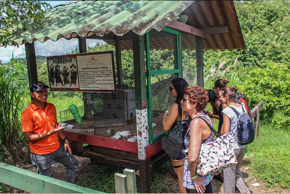 Visita al zoológico