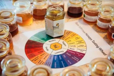 Boquete Abejas y mariposas